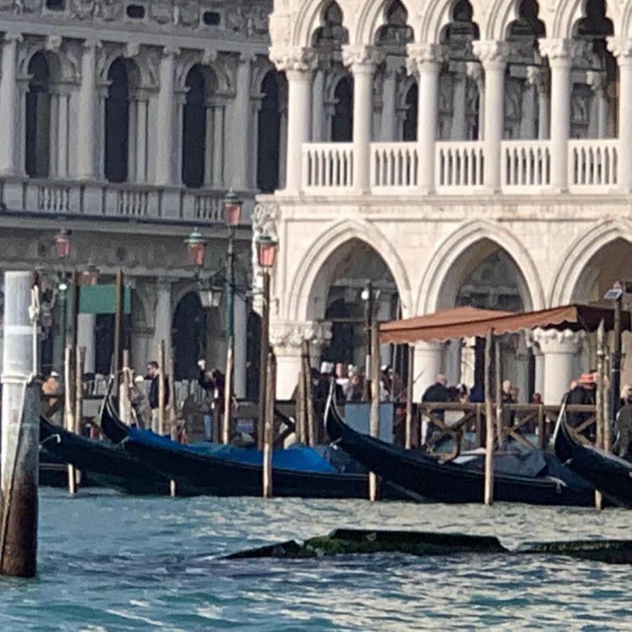 The Wolf House Venecia